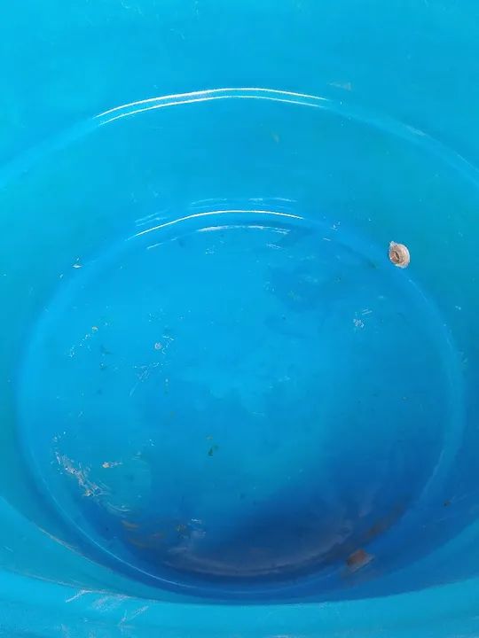 LIMPEZA E HIGIENIZAÇÃO DE CAIXAS D'ÁGUA E CISTERNA. - Foto 2