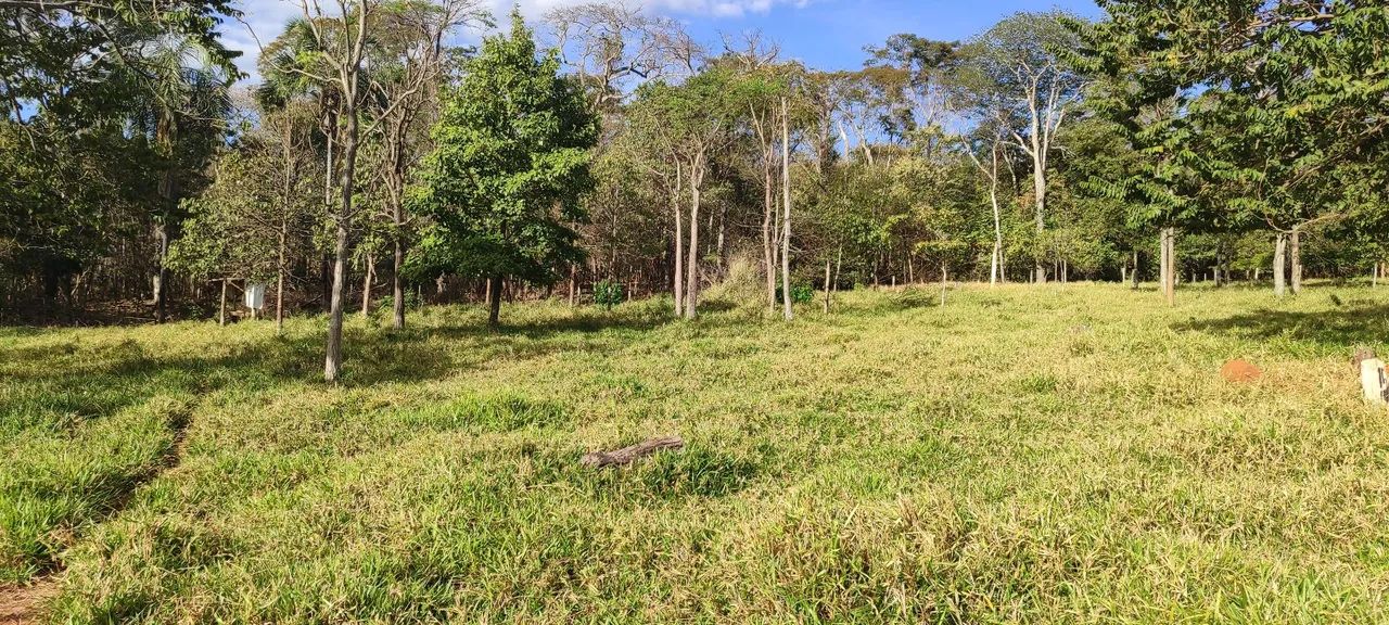Chácara em Avelinópolis  - Foto 3