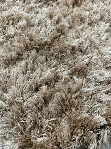 Lindo Tapete ( So hoje este Valor)