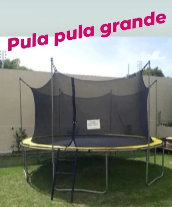 Pula pula grande 