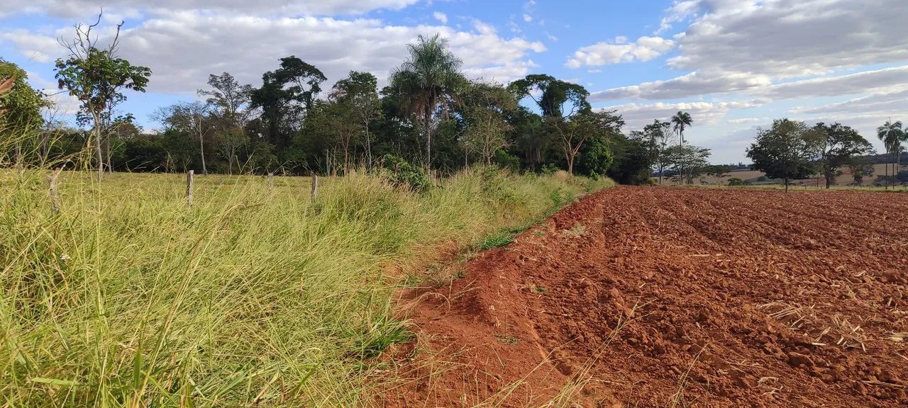 Chácara em Avelinópolis  - Foto 5