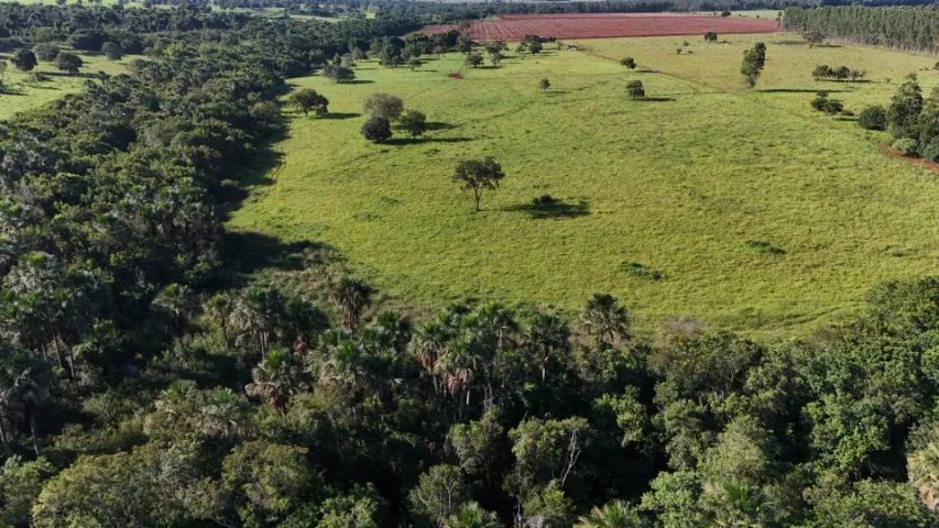 Chácara com 16 Hectares com Córrego em Campo Grande MS! - Foto 2