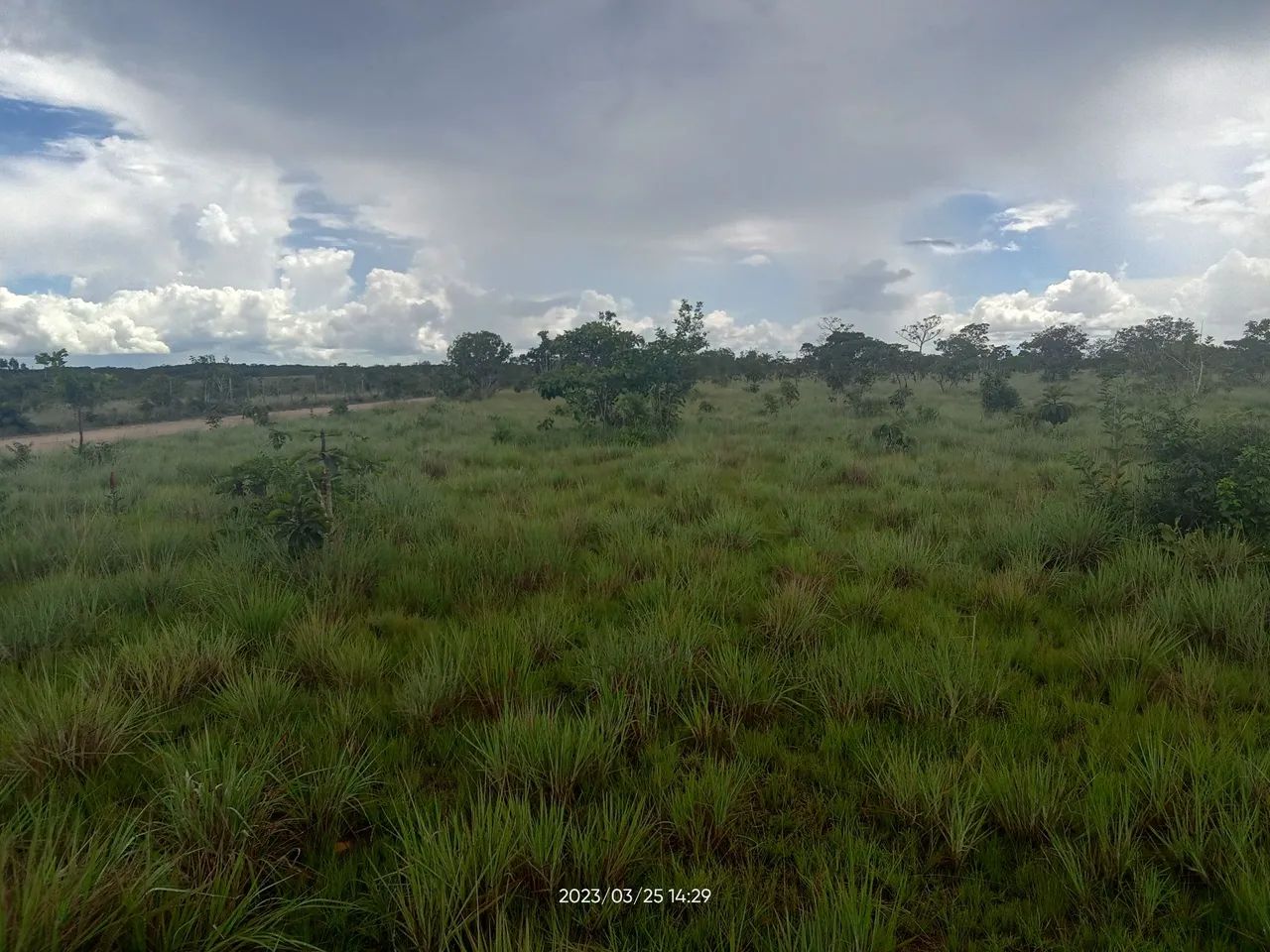 Foto - Macapá - Beirol