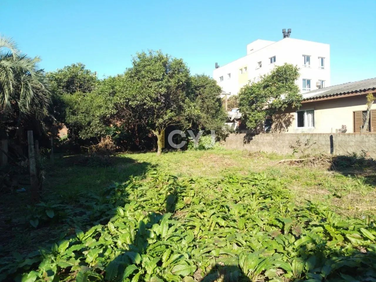 Terreno no centro de Cachoeirinha - Foto 5