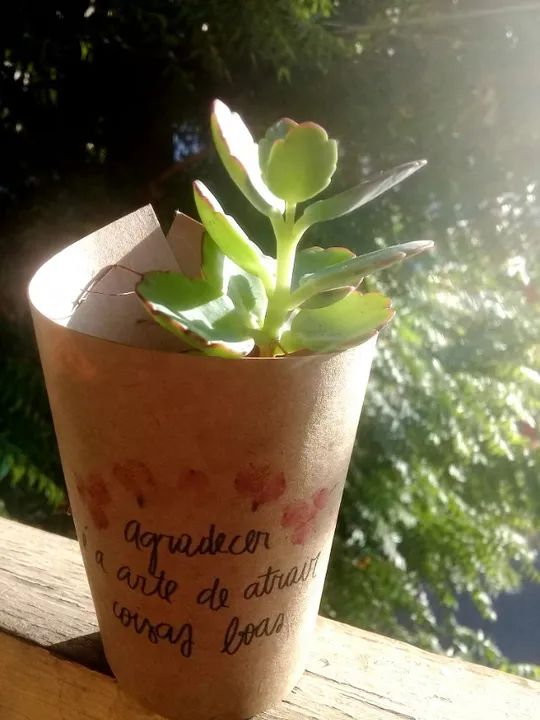 Lembrancinhas personalizadas com mini-cactos e mini-suculentas - Foto 5