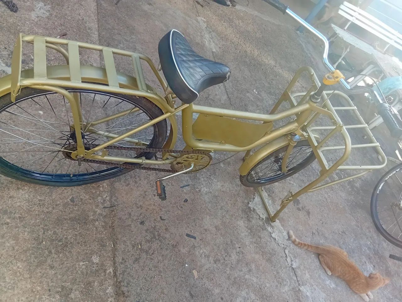 Bicicleta de Carga Dourada