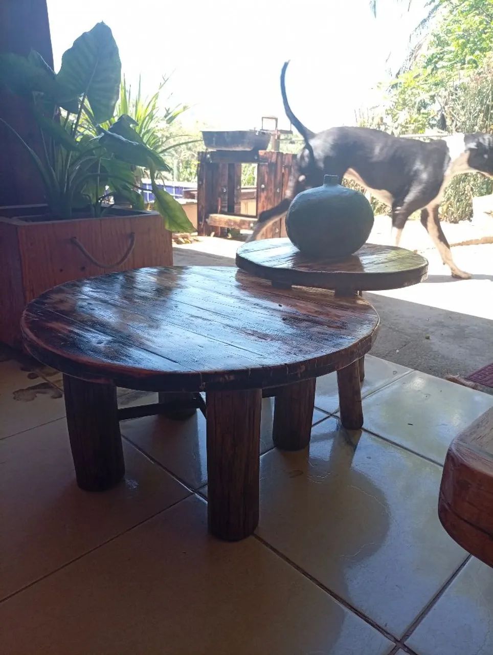 Coffee table 64297562494465123