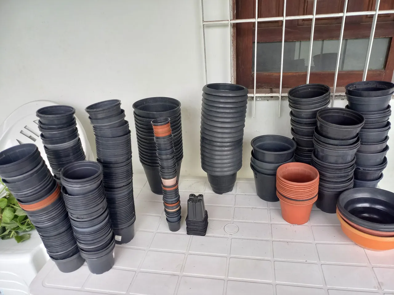 Vasos de Planta - Diversos Tamanhos
