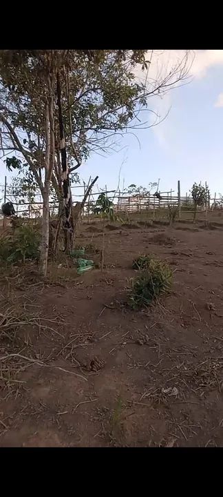 Terreno sítio 10x15 b.bentes 1