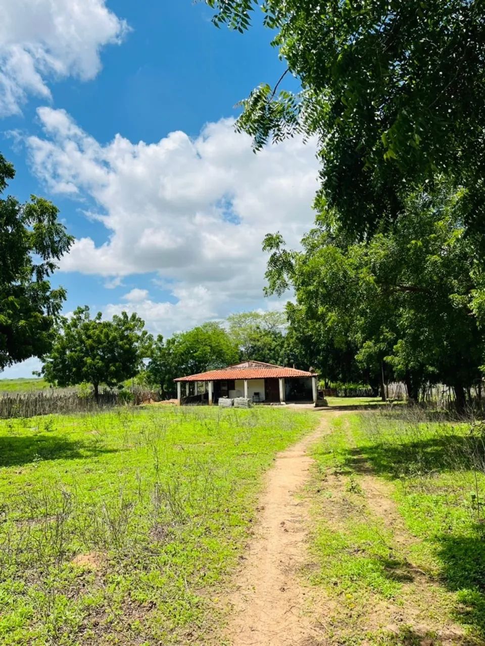 FAZENDA PARAISO QUIXADÁ - Foto 2