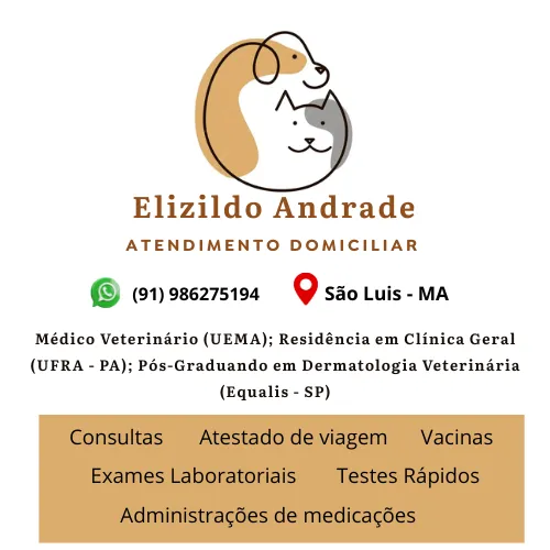 Atendimento Veterinário a Domicilio 