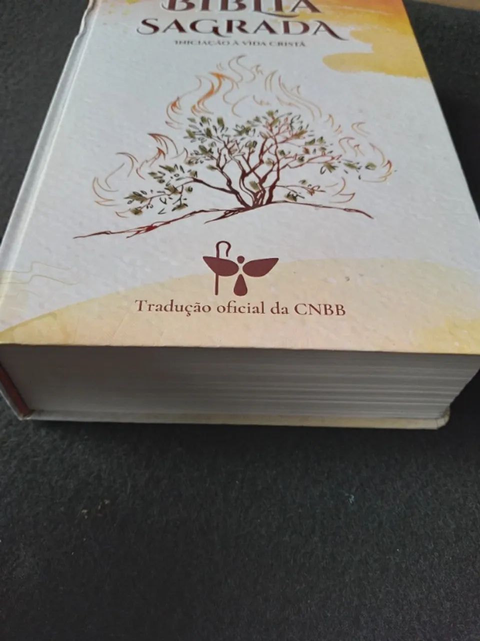 Livro, Bíblia  Sagrada  - Foto 2