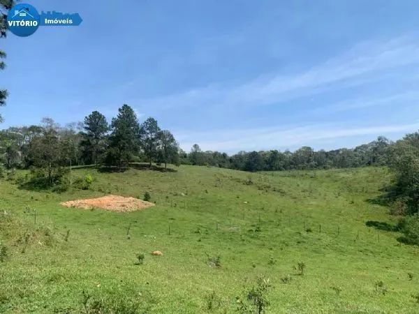 Terreno na Rota do Vinho