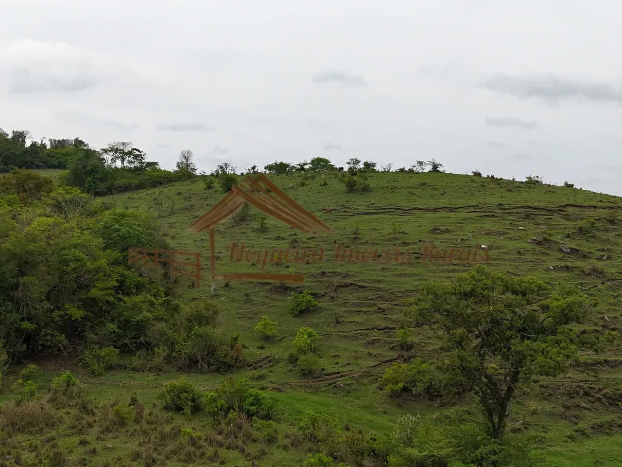 Sitio com 14 alqueires na região de Guareí-SP