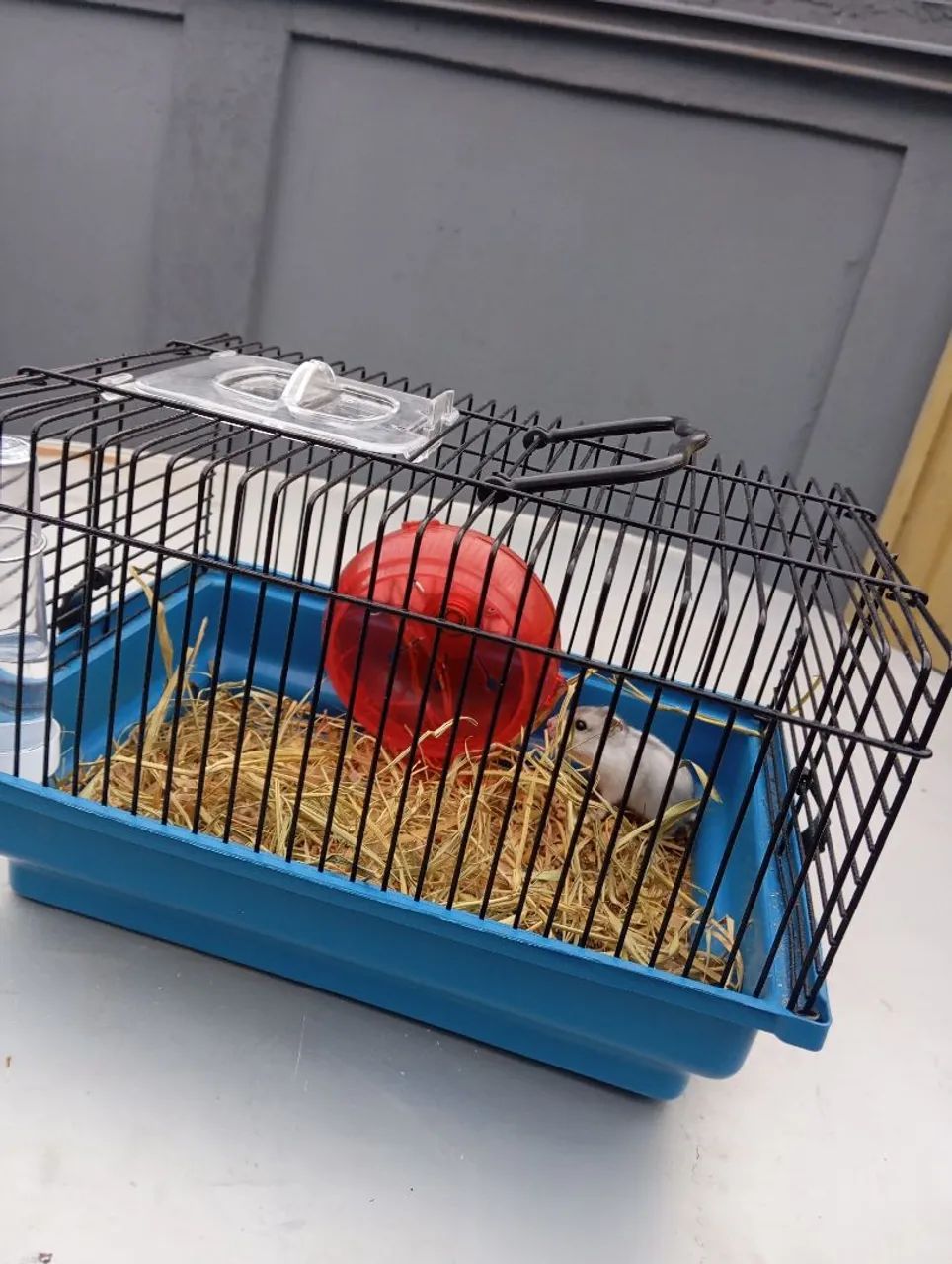 Hamster c/ gaiola - Foto 3