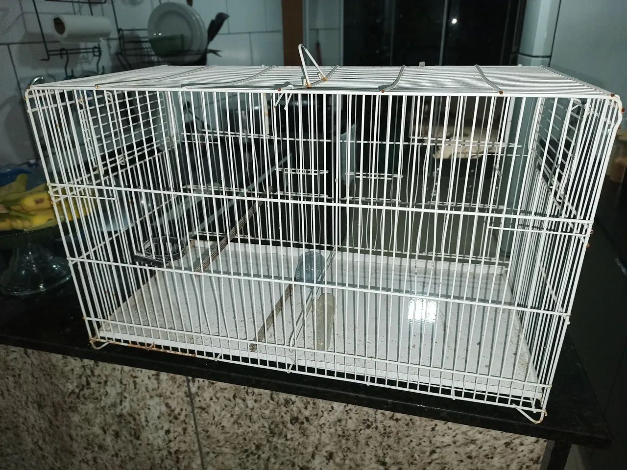 Gaiola criação  - Foto 2