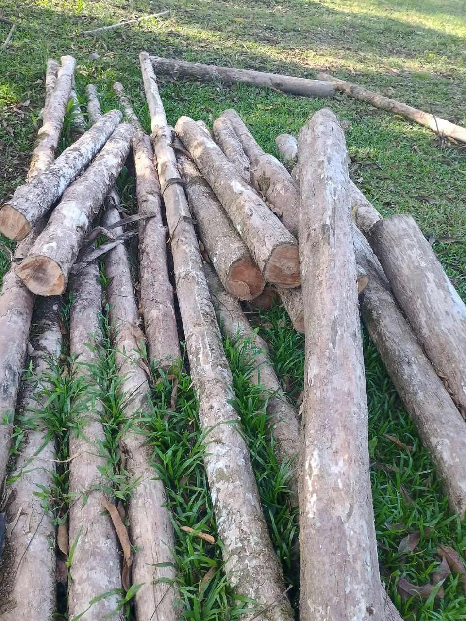 Madeira Lisa de Lei ( Avenida )