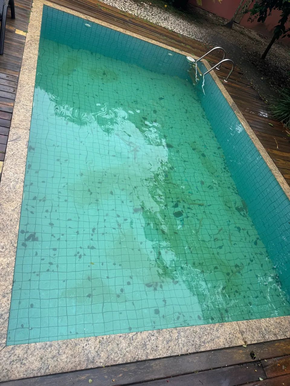 Piscineiro  - Foto 3