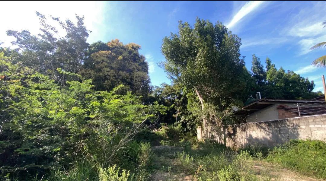 Terreno 1.200m da praia.