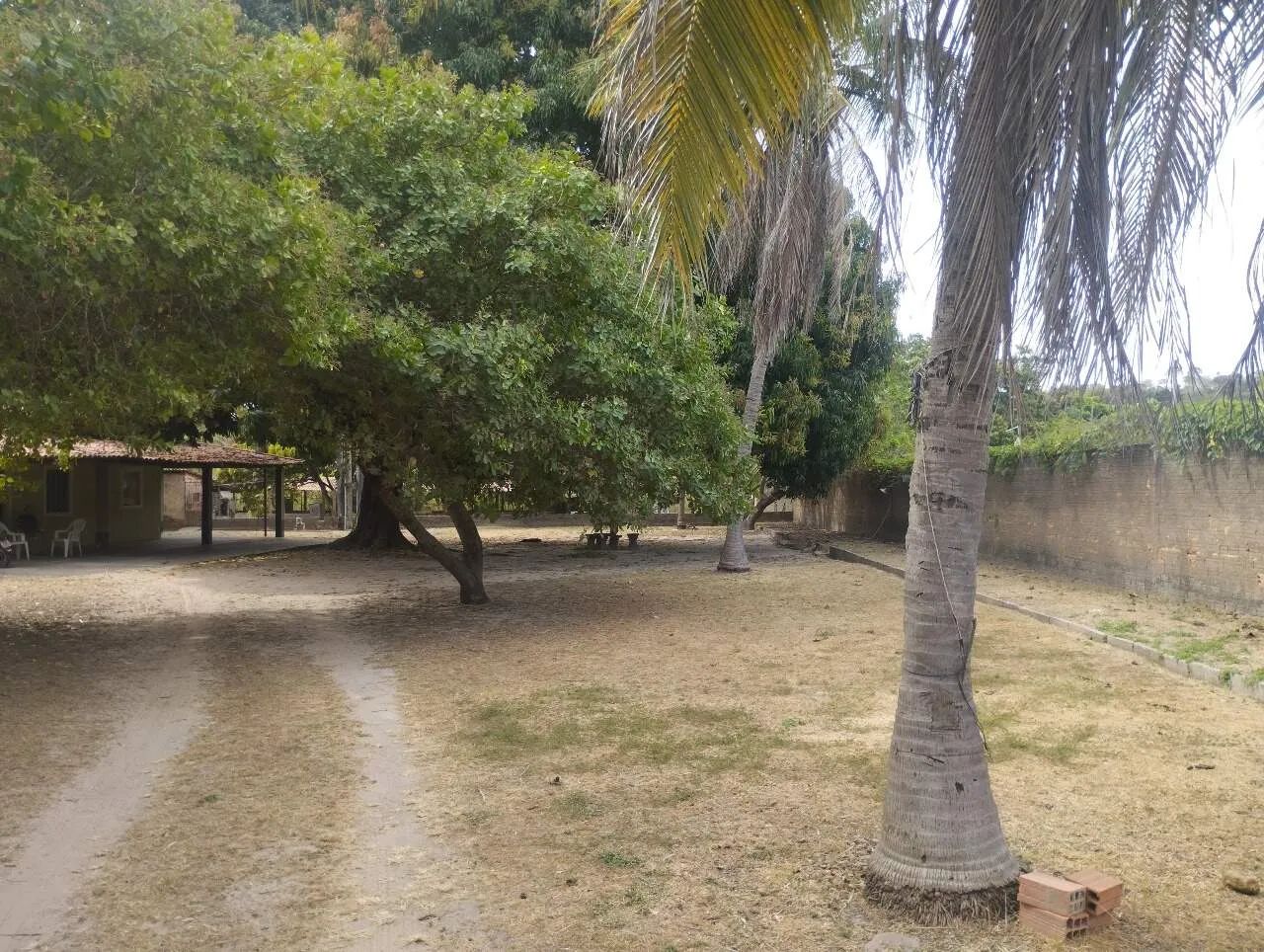 Excelente Sitio na zona leste - Foto 4