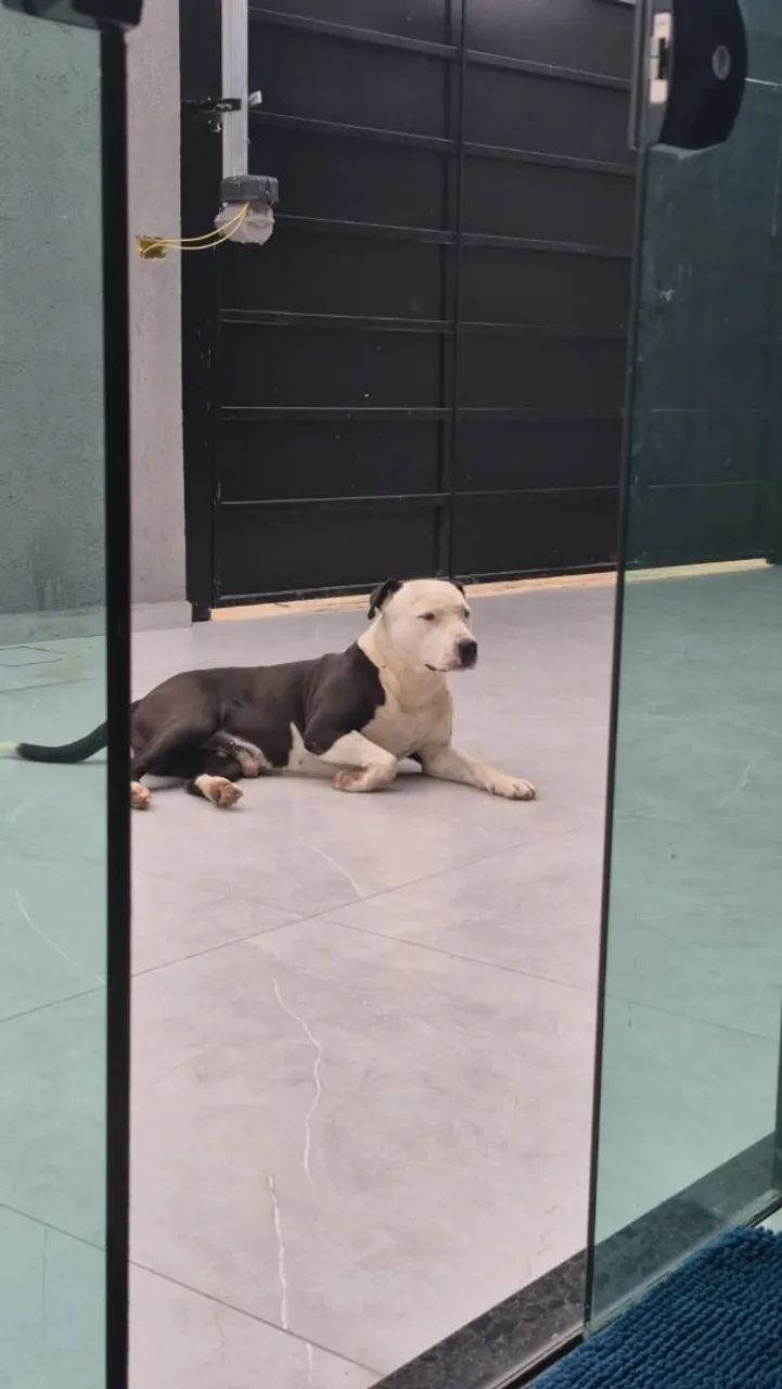 Doação  - Foto 2