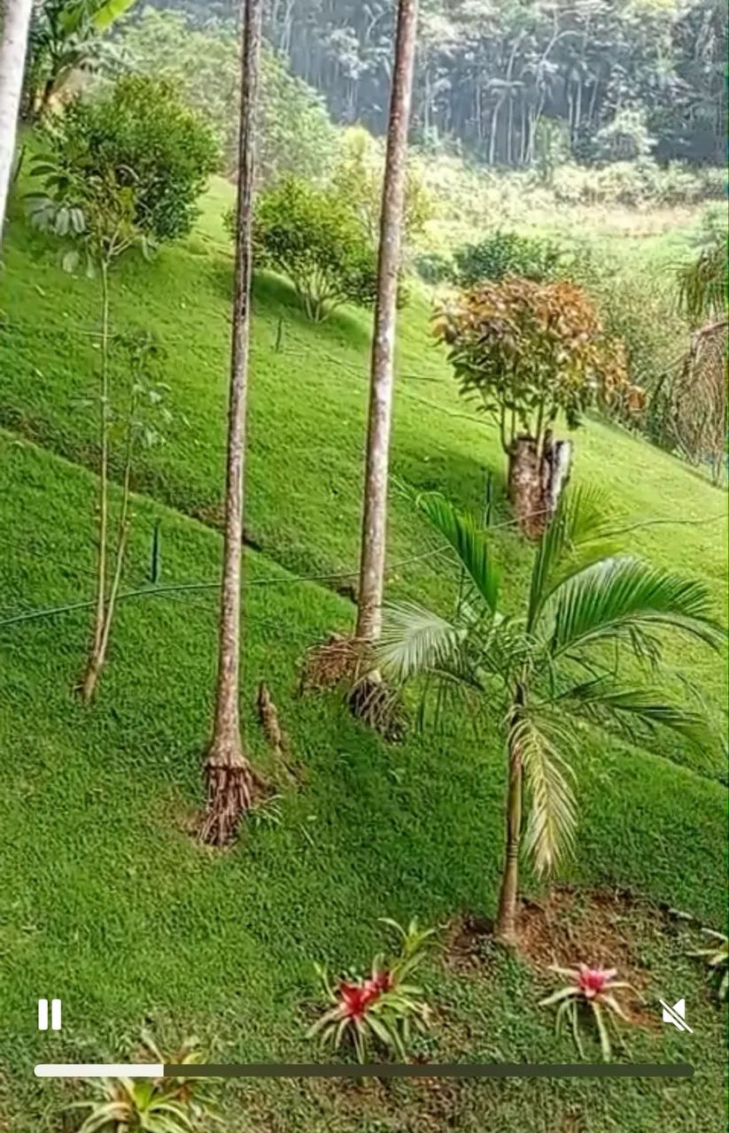 Terreno em condomínio Santa Teresa -ES - Foto 7