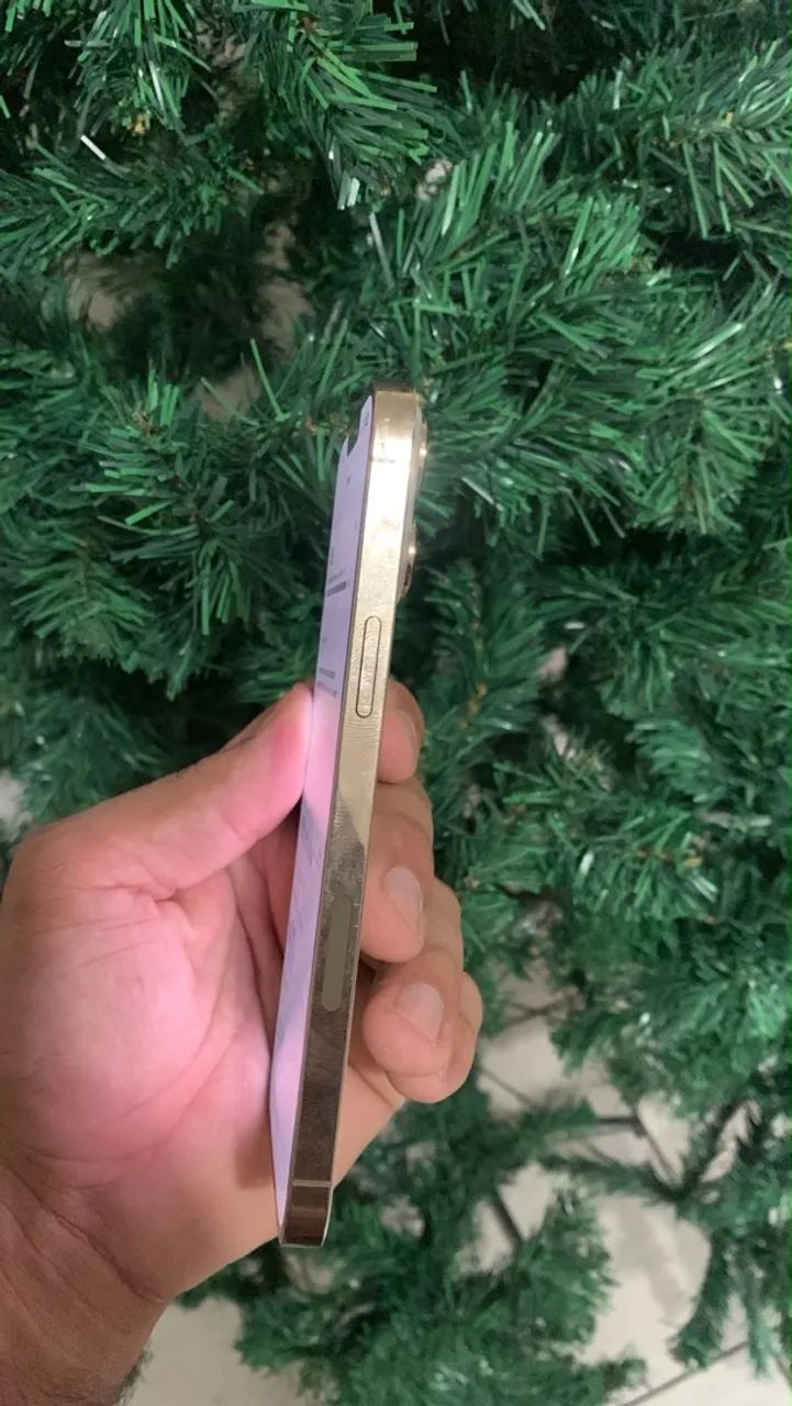 iPhone 13 Pro Max  - Foto 2