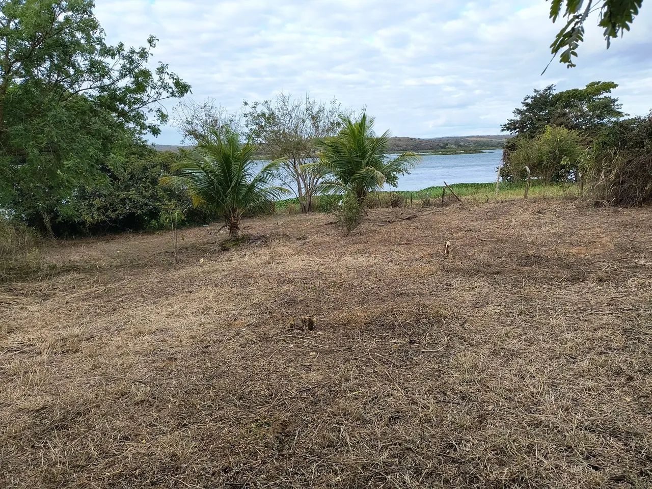 VENDO TERRENO 20m largura e 55m comprimento  - Foto 4