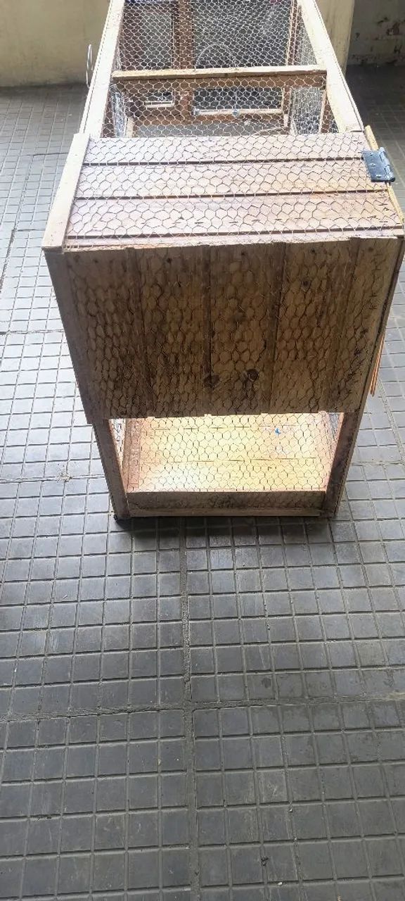 Viveiro gaiola - Foto 6