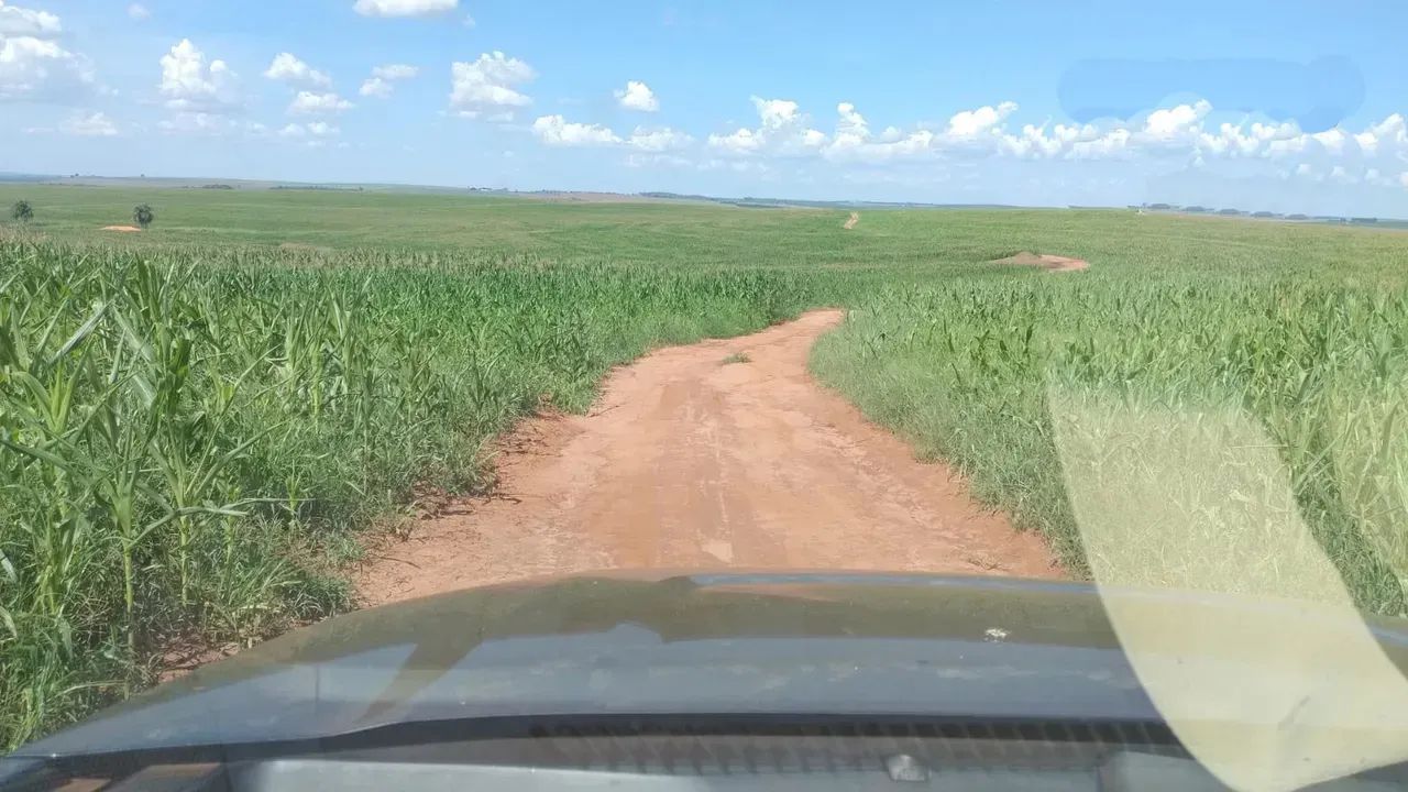 Fazenda para venda no PR. NOROESTE. - Foto 2