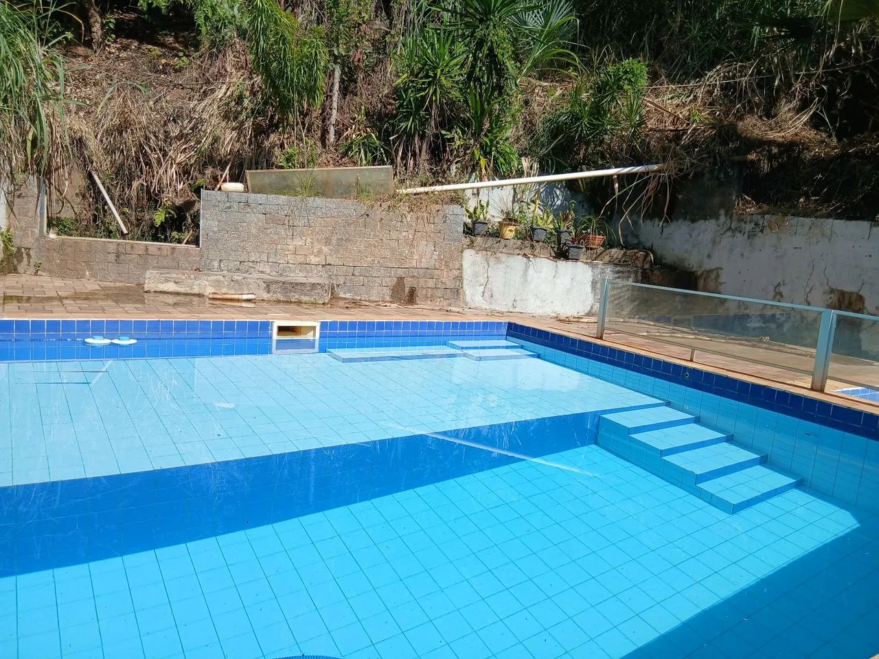 Vendo chácara capela Branca  - Foto 5
