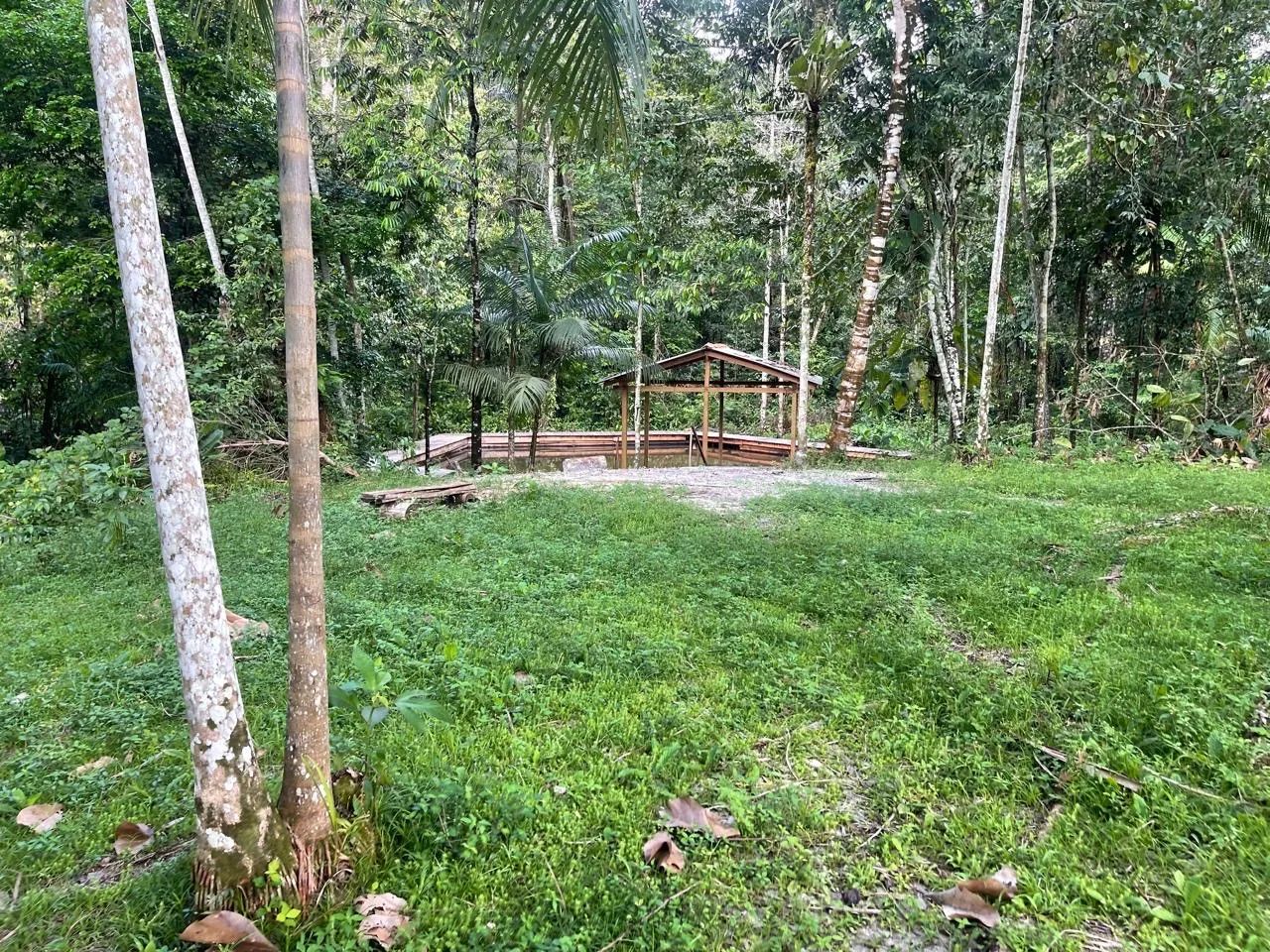 Sítio Santo Antônio do Tauá ( km 7 ) - Foto 3