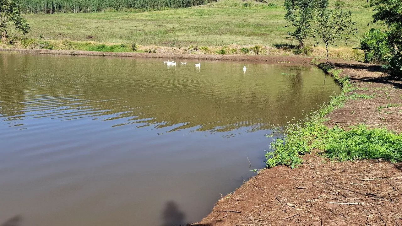 Sítio  próximo a Campo Mourão. - Foto 2