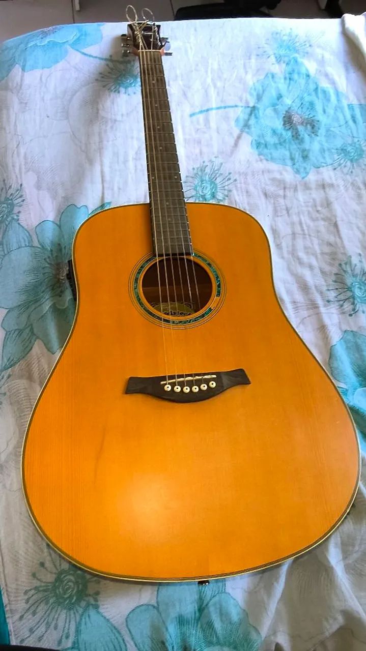 Violão Tagima 