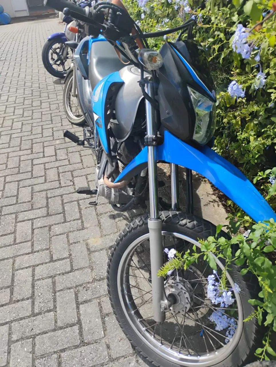 Pronta pra transferir  - Foto 2