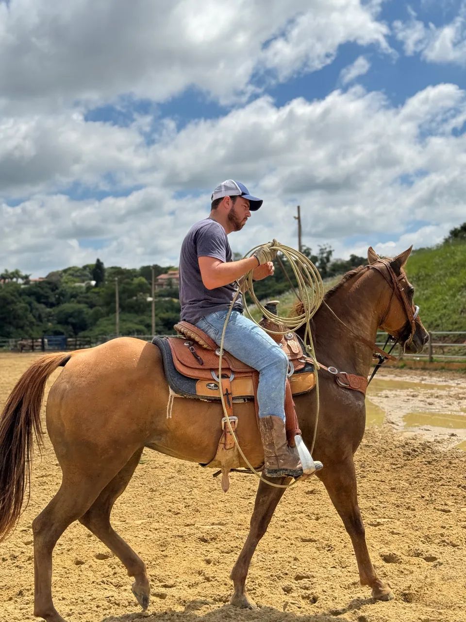 Égua de Team Roping à venda! - Foto 6