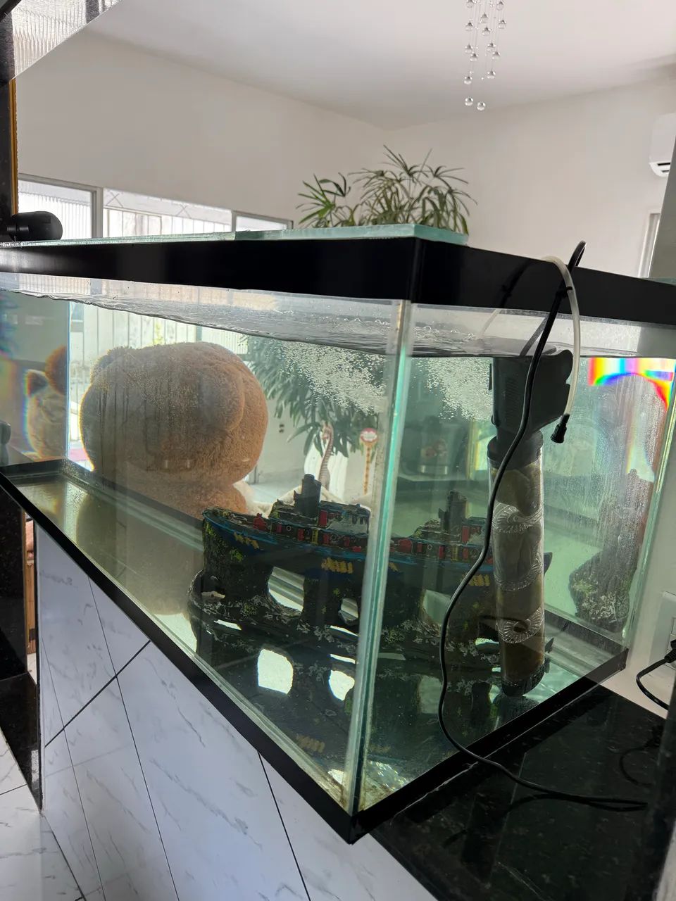 Aquário completo vendo com tudo dentro