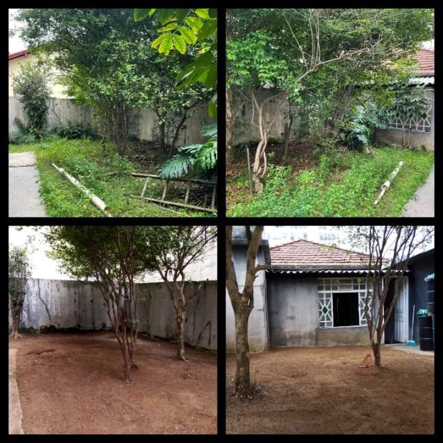 Jardinagem  - Foto 4