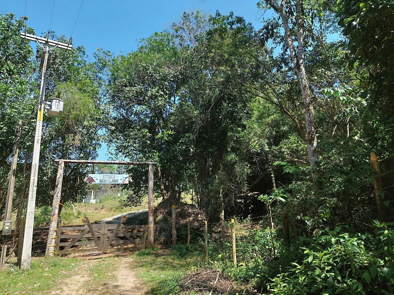Chacara com rio limpo dentro - Foto 3