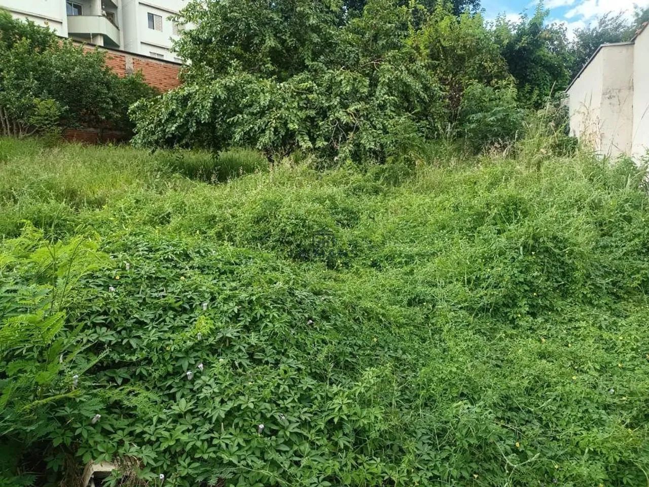 Terreno à venda em Piracicaba, Vila Independência - Foto 2