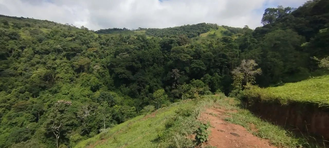 FAZENDA COM CACHOEIRA EXUBERANTE EM ITAGUARA  - Foto 5