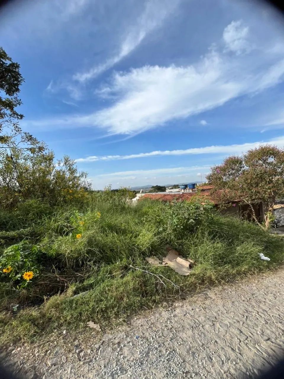 Lote Bairro Santa Lúcia 300m2 - Foto 5