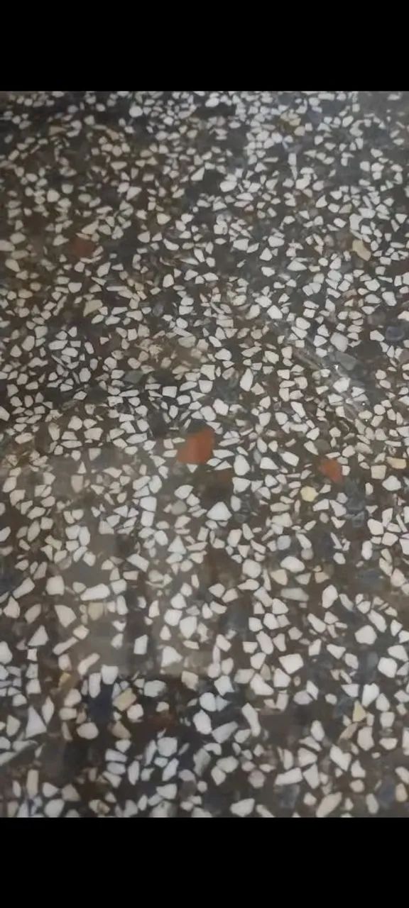 Piso de Granilite polido...
