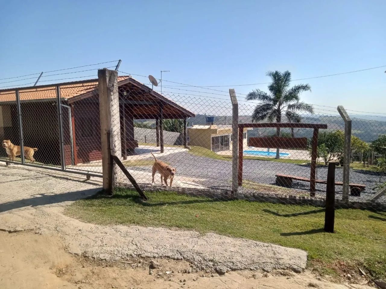 Terreno em Piedade aceito carro - Foto 3
