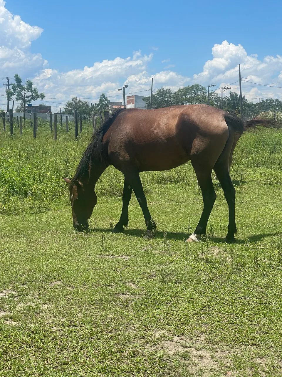Venda ou troca  - Foto 4