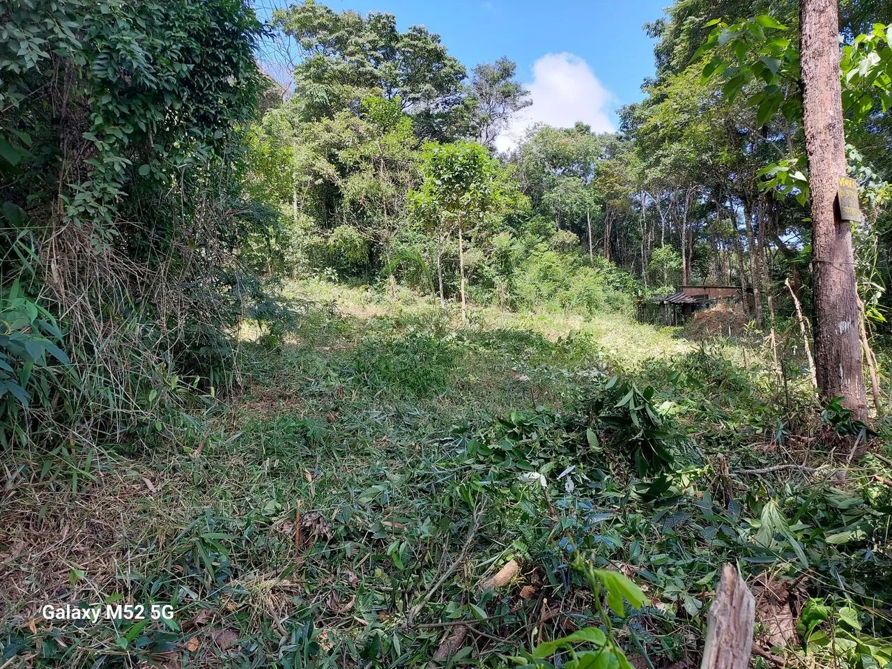 Vendo terreno em Antônio dos Santos Caete MG.  - Foto 5
