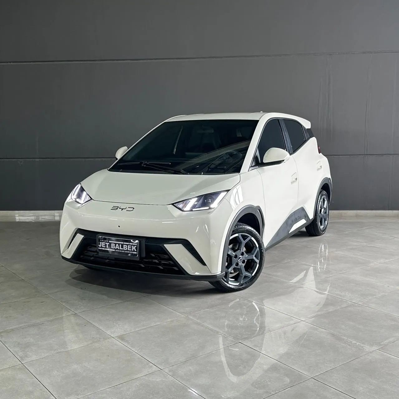 BYD Dolphin Mini (Elétrico) 2025
