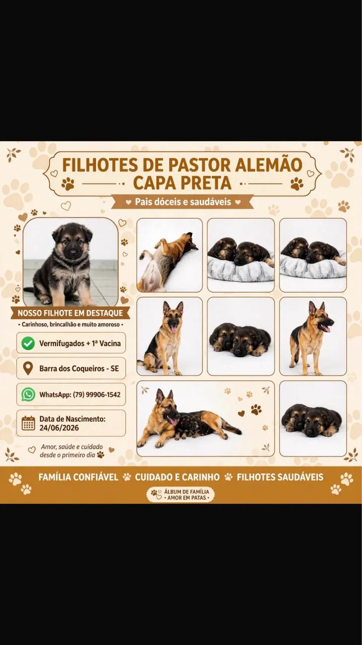  Cachorro Pastor Alemão Capa Preta