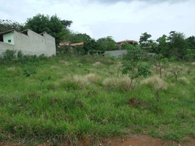 Foto - Taubaté - Jardim Continental