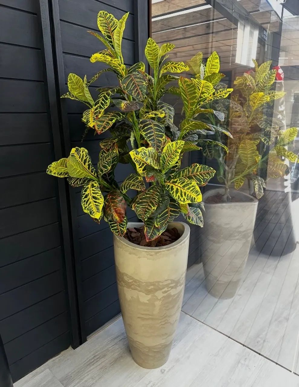 Plantas GG artificiais  - Foto 2